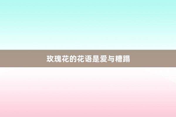 玫瑰花的花语是爱与糟蹋