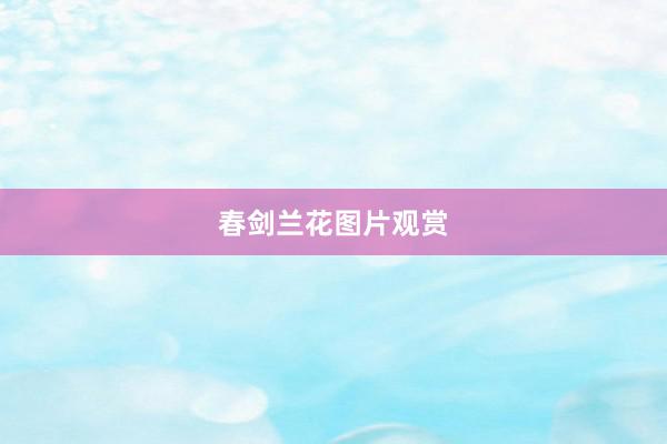 春剑兰花图片观赏